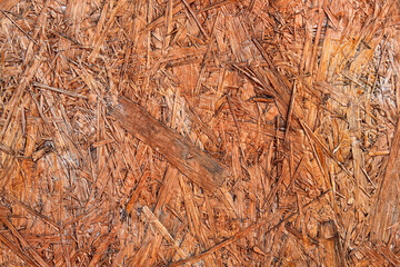 wall osb texture background red