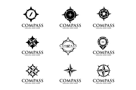 compass logo vector template design.