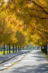 Naklejka premium 舎人公園
