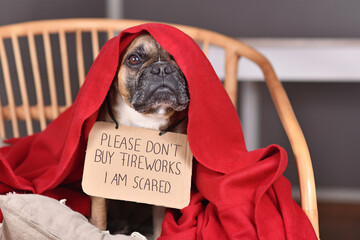 French Bulldog dog with sign 'Please don't buy fireworks. I am scared' hiding under blanket on new...