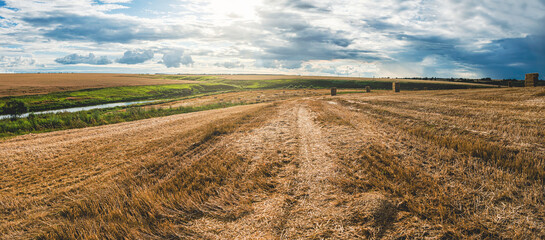 Rural summer landscape with fields
