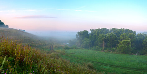 Foggy landscape with rural road