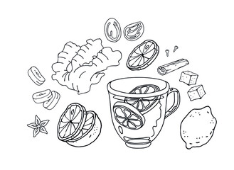 Glass mug. Citrus tea for immunity and Antiflu set. Vector illustration isolated element on a white background. 
