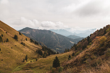 Colors are exploding in the woods of Carnic Alps