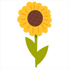 Sunflower plant in cartoon style isolated on white background, farm animal, rural lifestyle concept