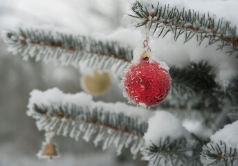 Fototapeta na wymiar Christmas balls on a growing tree.