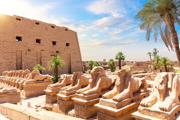 Avenue of Sphinxes or The King s Festivities Road, ram-headed statues of Karnak Temple, Egypt - obrazy, fototapety, plakaty