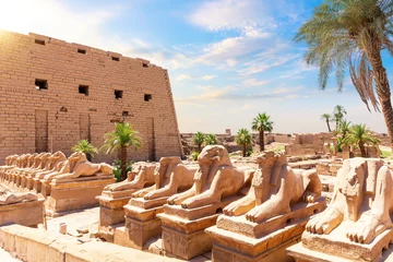Foto op Plexiglas Avenue of Sphinxes or The King s Festivities Road, ram-headed statues of Karnak Temple, Egypt © AlexAnton