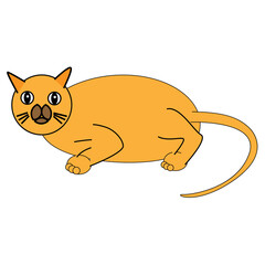 illustration design of a cat with multiple design concept