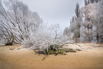 Wiitenberger Ufer Hamburg Rissen Frost