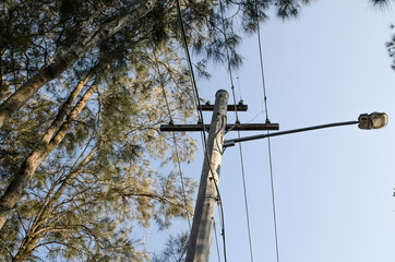 Pole electric cable wire with a street lamp near trees