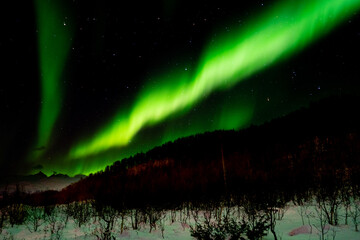 Northern Lights with snowy mountains in the background- Landscape Photography