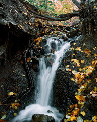 Fototapeta na wymiar landscape of autumn waterfall with milk water