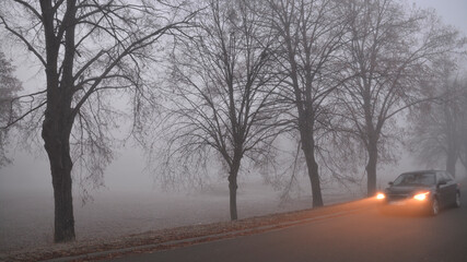 rheinhessen im winter