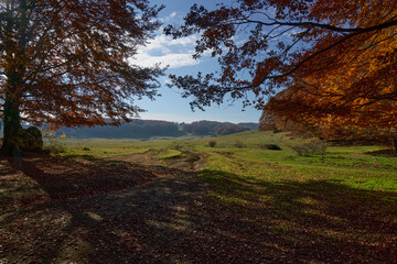 Autumn landscape at Monti Simbruini Natural Regional Park
