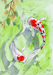 Watercolor illustration of two koi fish with red spots in transparent water with watercolor spots and drips 