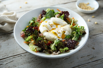 Healthy leaf salad with burrata cheese