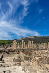 ruinas de la antigua villa romana de baelo claudia en el parque natural del estrecho, Andalucía