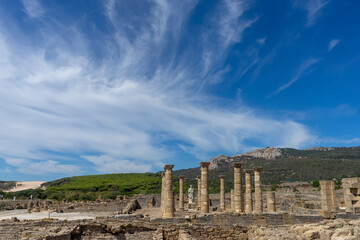 Fototapeta na wymiar ruinas de la antigua villa romana de baelo claudia en el parque natural del estrecho, Andalucía