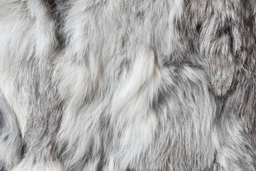 Abstract elegant white and gray fluffy fluffy blended fur background texture