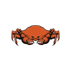 red crab on white vector illustration