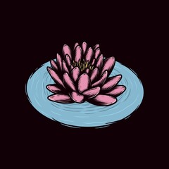 pink lotus flower