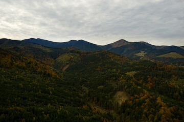 Obraz na płótnie Canvas Aerial view of beautiful mountain forest on autumn day