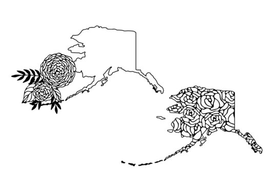 Political divisions of the US. State Alaska. Floral map outlines on white background