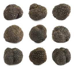 Set with expensive delicious black truffles on white background