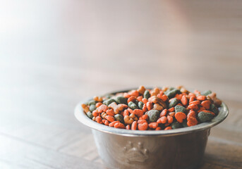 dry  pet food in metal bowl Copy space.