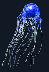 Drawing Blue box jellyfish, art.illustration, vector