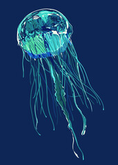 Drawing Blue large jellyfish, art.illustration, vector