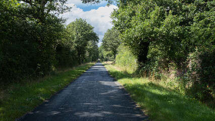 asphalt road in the green forest of France