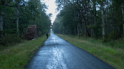 woman with a k-way under the rain with  her dog on a road among the forest