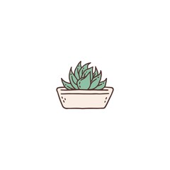 echeveria succulent houseplant. Indoor potted plant vector outline doodle illustration.