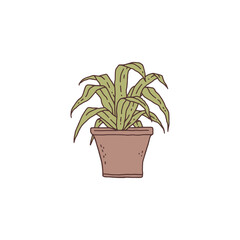 Obraz premium dracaena houseplant. Indoor potted plant vector outline doodle illustration.