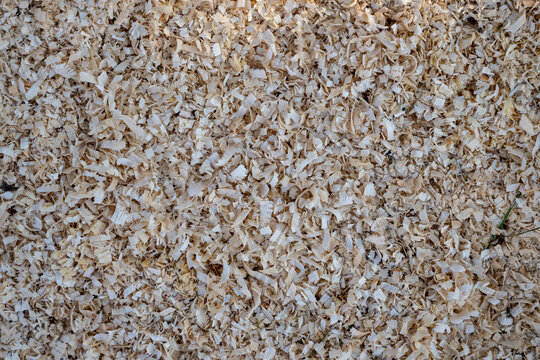 Sawdust after cutting wood with a wood saw machine.