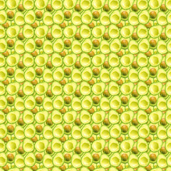 pattern with sliced avocado