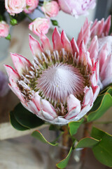 pink large protea close-up. Exotic African flower