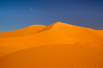 Fototapeta na wymiar Sahara noon. Algeria sand dunes