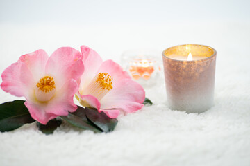 椿とアロマテラピー