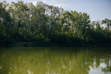 Fototapeta na wymiar summer lake surrounded by trees at dawn
