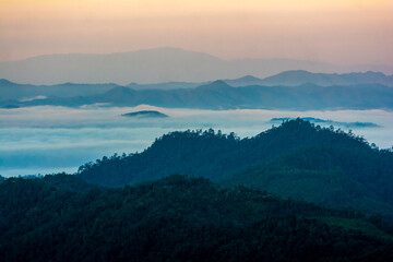 Morning fog in dense tropical rainforest ,Misty forest landscape at Salavin national park