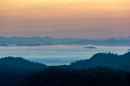 Morning fog in dense tropical rainforest ,Misty forest landscape at Salavin national park © sittitap