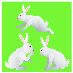 easter bunny  rabit  with eggs