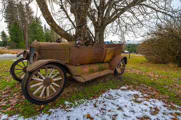 Old Car with Trees Grown through the Body - Powered by Adobe