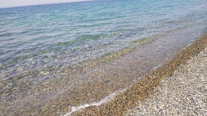 I saw big natural in japan