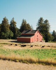 A red barn in Woodside, California © jonbilous