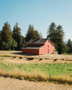 A red barn in Woodside, California