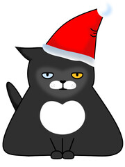Tired cat with santa claus hat